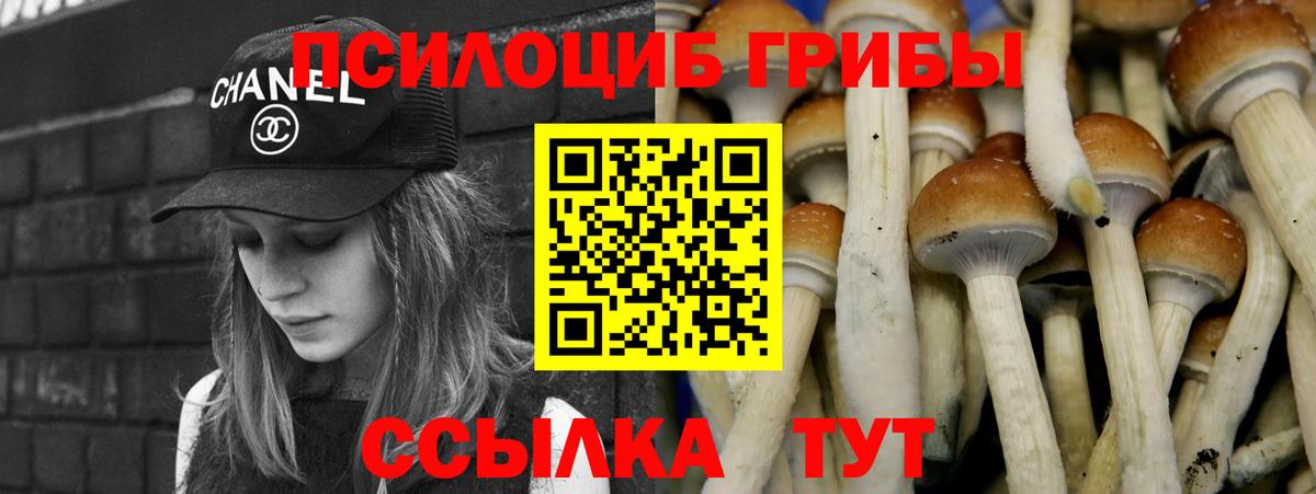 Ангарск  Галлюциногенные грибы MAGIC MUSHROOMS  Вход с VPN 